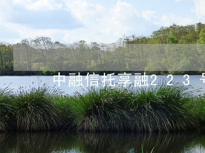 中融信托享融223号逾期 中融信托享融223号逾期