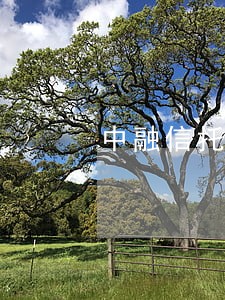 中融信托是否出现逾期 中融信托是否出现逾期