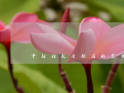 中融信托逾期后的思考 中融信托逾期后的思考