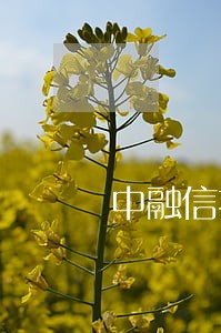 中融信托项目逾期 中融信托项目逾期
