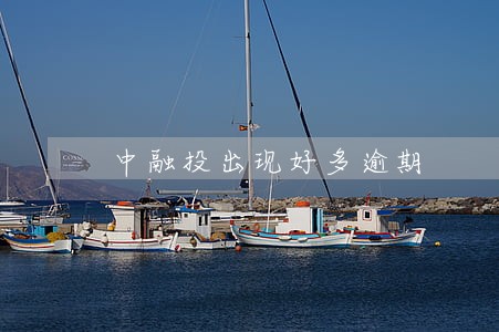 中融投出现好多逾期 中融投出现好多逾期