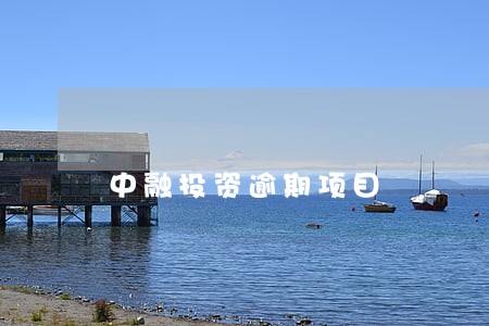 中融投资逾期项目 中融投资逾期项目