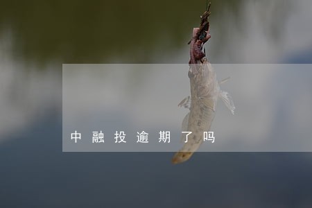 中融投逾期了吗 中融投逾期了吗