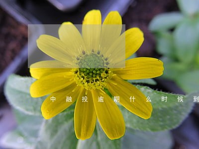 中融投逾期什么时候到账 中融投逾期什么时候到账