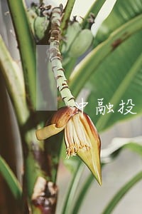 中融投逾期最新消息 中融投逾期最新消息