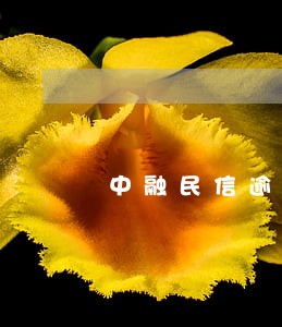 中融民信逾期 中融民信逾期