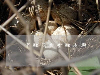 中融消费金融逾期 中融消费金融逾期