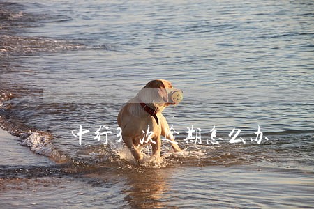 中行3次逾期怎么办 中行3次逾期怎么办