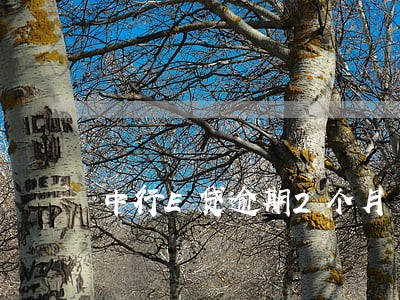 中行E贷逾期2个月 中行E贷逾期2个月