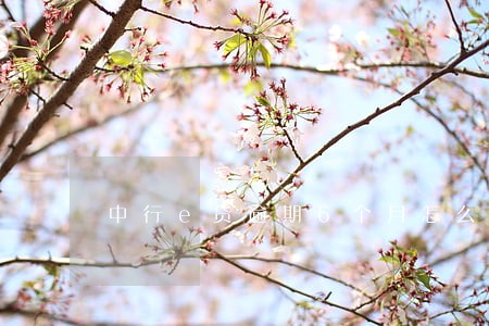 中行e贷逾期6个月怎么办