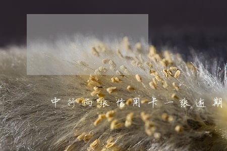 中行两张信用卡一张逾期