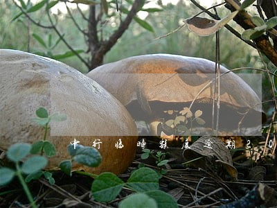 中行临时额度逾期20天 中行临时额度逾期20天