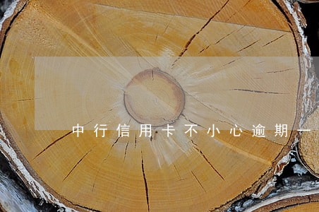 中行信用卡不小心逾期一天