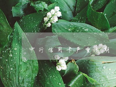 中行信用卡严重逾期 中行信用卡严重逾期