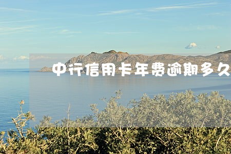 中行信用卡年费逾期多久可以消除 中行信用卡年费逾期多久可以消除