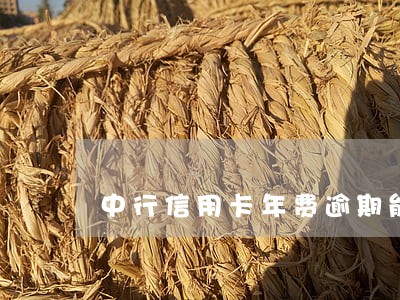 中行信用卡年费逾期能解冻吗 中行信用卡年费逾期能解冻吗