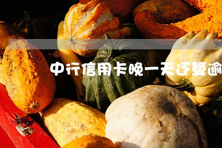 中行信用卡晚一天还算逾期吗 中行信用卡晚一天还算逾期吗