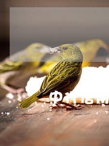 中行信用卡晚还1天会逾期吗 中行信用卡晚还1天会逾期吗