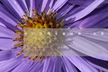 中行信用卡晚还款一天算逾期吗 中行信用卡晚还款一天算逾期吗