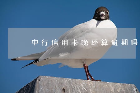 中行信用卡晚还算逾期吗