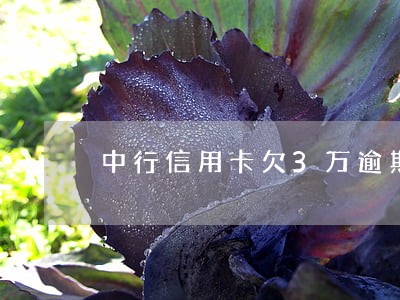 中行信用卡欠3万逾期 中行信用卡欠3万逾期