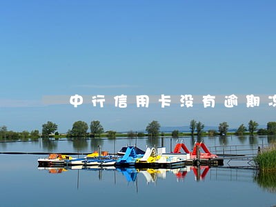 中行信用卡没有逾期冻结