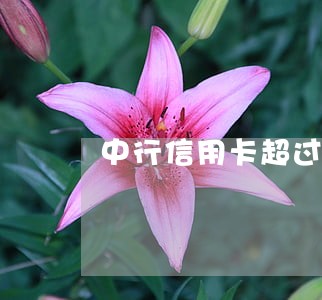中行信用卡超过几天算逾期 中行信用卡超过几天算逾期