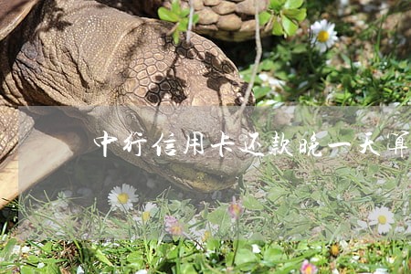 中行信用卡还款晚一天算逾期吗 中行信用卡还款晚一天算逾期吗