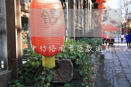 中行信用卡还款逾期一天期限