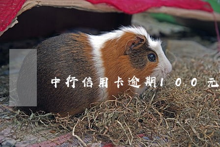 中行信用卡逾期100元 中行信用卡逾期100元