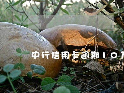 中行信用卡逾期10万