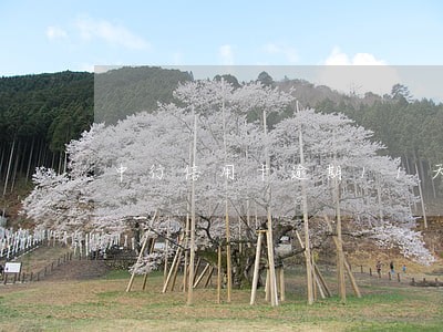 中行信用卡逾期11天 中行信用卡逾期11天