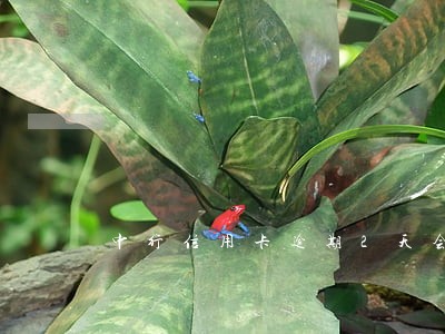 中行信用卡逾期2天会影响信用不 中行信用卡逾期2天会影响信用不