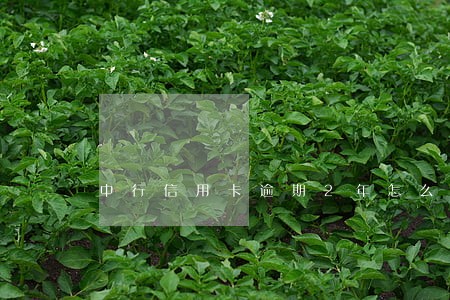 中行信用卡逾期2年怎么处理 中行信用卡逾期2年怎么处理