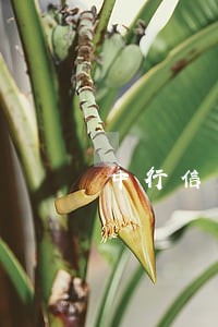 中行信用卡逾期59天 中行信用卡逾期59天