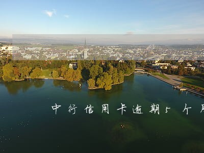 中行信用卡逾期5个月 中行信用卡逾期5个月