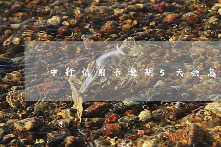 中行信用卡逾期5天会怎样 中行信用卡逾期5天会怎样