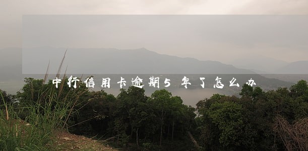 中行信用卡逾期5年了怎么办 中行信用卡逾期5年了怎么办