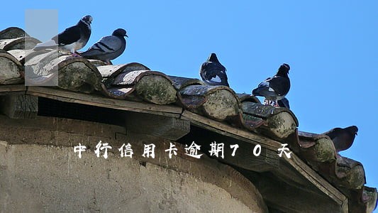 中行信用卡逾期70天