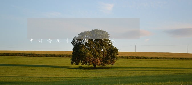 中行信用卡逾期80天 中行信用卡逾期80天