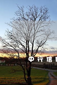 中行信用卡逾期一个星期怎么办