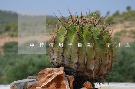 中行信用卡逾期一个月冻结 中行信用卡逾期一个月冻结