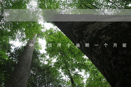 中行信用卡逾期一个月能协商吗 中行信用卡逾期一个月能协商吗