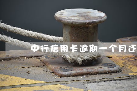 中行信用卡逾期一个月还了最低 中行信用卡逾期一个月还了最低