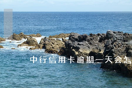 中行信用卡逾期一天会怎么样 中行信用卡逾期一天会怎么样