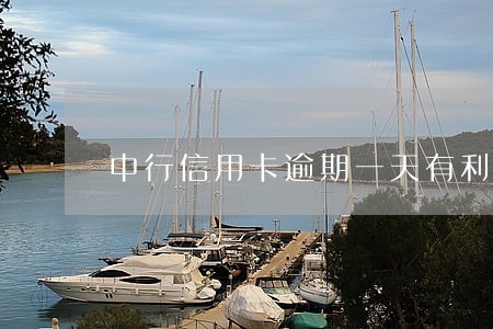 中行信用卡逾期一天有利息吗 中行信用卡逾期一天有利息吗