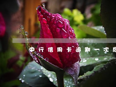 中行信用卡逾期一次后果 中行信用卡逾期一次后果