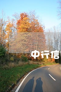 中行信用卡逾期三个月协商还 中行信用卡逾期三个月协商还