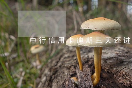 中行信用卡逾期三天还进去