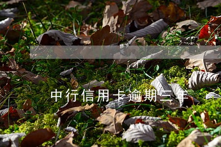 中行信用卡逾期三年 中行信用卡逾期三年